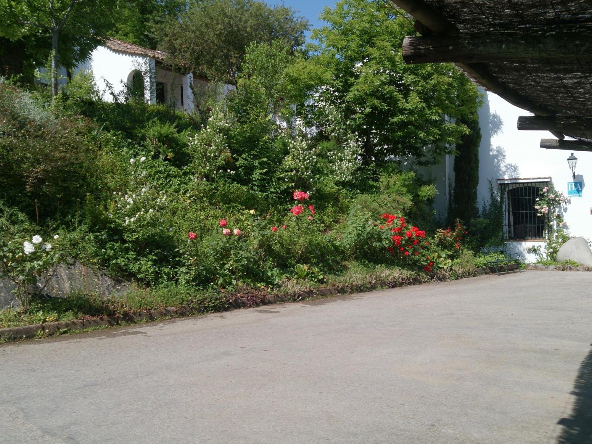 Finca Valbono Apartamentos Rurales Y Hotel Aracena Eksteriør bilde
